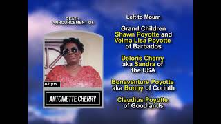 Antoinette Cherry long [upl. by Musette]