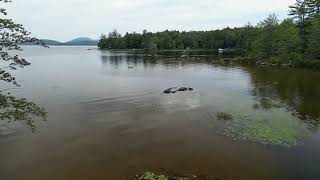 Piseco Lake NY Outlet area 4 Aug 2022 [upl. by Andrel]