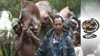 VoteRigging and PigSwapping in Papua New Guinea 2002 [upl. by Arza938]