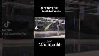 Fishing for Bass Custom Bait Innovation fishing bassfishing baitandtackle tackleshop baits [upl. by Ulland123]