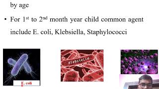 Pneumonia in children Lobarpneumonia Bronchopneumonia Interstitialpneumonia Viralpneumonia [upl. by Ggerk683]