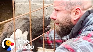 Guy Rescues Hundreds Of Dogs From City Shelters  The Dodo [upl. by Omolhs533]