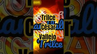 César Vallejo  Trilce poemas poesia poesiarecitada [upl. by Letnuahc]