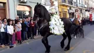 Santa Teresa di Riva Me  Un maestoso cavallo Frisone alla Festa della Primavera [upl. by Ecerehs]