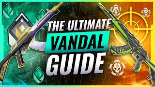 The ULTIMATE Vandal Guide For EASY HEADSHOTS  Valorant [upl. by Ecidnak]