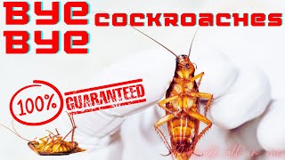 How to Get Rid of Cockroaches in Your House  Remedy To Get Rid Of Cockroaches [upl. by Anigal]