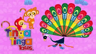 Peacocks Pride and Fall 🦚  Tinga Tinga Tales Official  1 Hour of Full Episodes [upl. by Ravid]