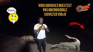 Regardez bien ce Crocodile sur la route joal samba Dia [upl. by Nieberg738]