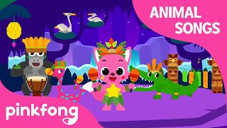 Jungle Music Festival  Animal Songs  Learn Animals  Pinkfong Songs for Children [upl. by Nieberg]