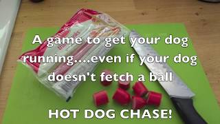 Hot Dog Chase Games [upl. by Aikal5]