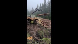 JOHN DEERE forwarder unloading some timber [upl. by Melac785]