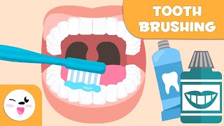 How to Brush Your Teeth  Tooth Brushing for Kids [upl. by Mcwherter724]