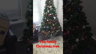 The family Christmas tree 🎄 ornaments christmas song arianagrande merrychristmas [upl. by Esiahc]