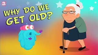 Why Do We Get Old The Dr Binocs Show  Best Learning Videos For Kids  Peekaboo Kidz [upl. by Castor]