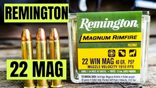 Remington 22 Mag Ammo  Magnum Rimfire [upl. by Armalla164]