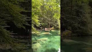 blausee switzerland interlaken lauterbrunnen Grindelwald vacation savlogs drone dji [upl. by Jansen]