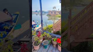 Houseboat kashmir m last day kashmir dallakesrinagar [upl. by Senalda302]