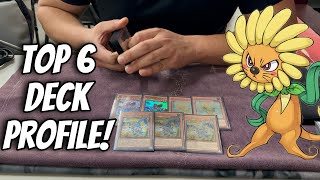 Top 6 QuickDraw dandy deck profile  Edison format edisonformat yugioh yugiohtournament [upl. by Alcinia296]