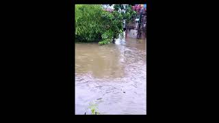 un weekend kabaselique a Kinshasa kinshasa weekend inondations [upl. by Smith]