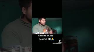 Risaune bhaye  Sushant KC acoustic cover [upl. by Matthia801]