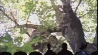 MST3K  Favorite Moments  Time Chasers [upl. by Atirma]