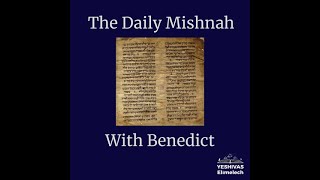 The Daily Mishnah  Nedarim 556 [upl. by Hanan229]