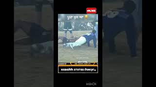 ਪੂਰਾ ਖੁਸ ਆ 😂 kabaddi kabaddilive kabaddilover funny viralshorts duet [upl. by Lotsyrc]