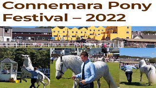 Connemara Pony Festival 2022 ClifdenPonyShow [upl. by Wohlert]