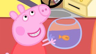 Peppa Pig Full Episodes  Goldie the Fish  Cartoons for Children [upl. by Mannos724]