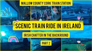 🇮🇪🚃 Ireland Mallow County Cork views from the train scenery and stationireland nature landscape [upl. by Ramoh]