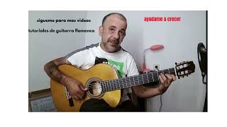 formas de estudiar acordes flamencos 2024 tecnica guitarra flamenca clasesdeguitarraflamenca [upl. by Aliuqat]