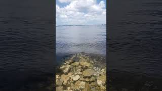 Caloosahatchee River FtMyers FL [upl. by Iret162]