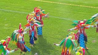 COLECTIVO COREOGRÁFICO INDOAMERICANTO  CARNAVAL PASTO 2018 [upl. by Akahc]