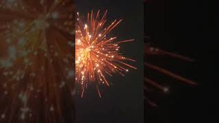 2 big sky shots plz watch it beutifull fireworks satisfying ytshortsindia [upl. by Diet]