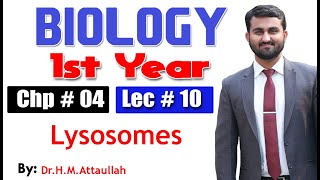 Lysosomes  Chapter 4  1st year Biology  Lec  10 [upl. by Narahs542]