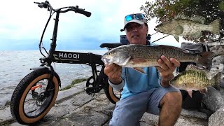 Fishing After a Devastating Hurricane Using HAOQI E bike For NONSTOP Bite [upl. by Annaitsirhc]