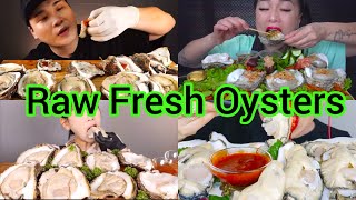 RAW FRESH OYSTERS EATING ASMR  ASMR MUKBANG  SEAFOOD ASMR [upl. by Leffen]