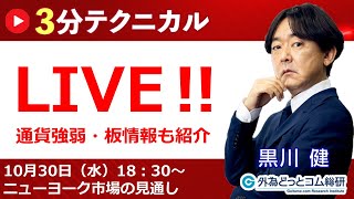 見通しズバリ！3分テクニカル分析「ライブ‼」 ニューヨーク市場の見通し 2024年10月30日 [upl. by Idonah]