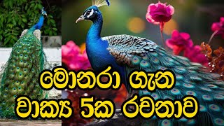 මොනරා ගැන රචනාමොනරා ගැන වාක්‍ය රචනා මොනරා ගැන රචනාවක්monara gana rachanamonara [upl. by Eniarol310]