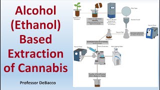 Alcohol Ethanol Based Extraction of Cannabis [upl. by Adalia951]