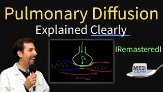 Pulmonary Diffusion Explained Causes of Hypoxemia 2 of 5 [upl. by Terrag]