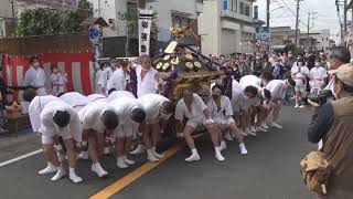 令和４年 市川市行徳＜香取神社＞四ヶ村例大祭 本社神輿＝渡御（欠真間） [upl. by Gabey]