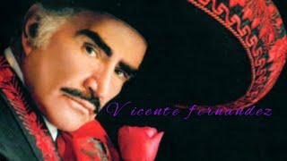 Vicente fernandez mix [upl. by Erlene]