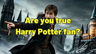 Test Your Wizarding Wits The Ultimate Harry Potter Book 1 Challenge [upl. by Irafat]