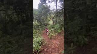 Honda Crf 250 Off Road ruta rutasoffroad [upl. by Ycnuahc]