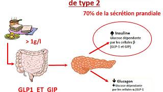 FMPM MOOCs  Traitement du diabétique de type 2  Pr G El Mghari [upl. by Epolenep]