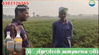 SV Agro tech company వారి నూనె మందులు ఏ విధంగా పనిచేశాయి అనేది రైతు మాటల్లో ఒక్కసారి వినండిoils [upl. by Yerot]