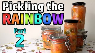 Lacto Fermented Rainbow Pickle  Part 2  Decanting Tasting Serving [upl. by Ahsilad731]