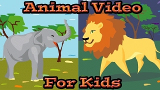 Animals for KIDS  Learn Animal Sounds  Kids Learning Videos [upl. by Deaner418]