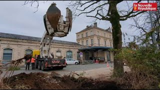 VIDEO A Niort une pelle horsnormes pour déplacer les arbres de la gare [upl. by Querida962]